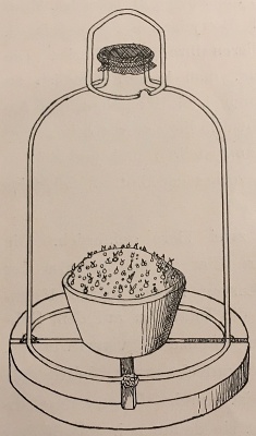 Bell jar for sowing on fungus-infected substrate [BURGEFF1911]