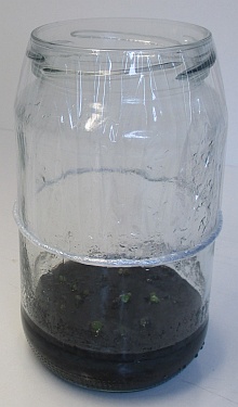 Fertig verschlossenes Glas.