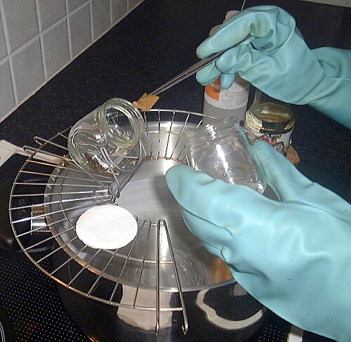 Samenkuvert in steriles dest. Wasser geben