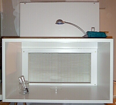 the sterile area