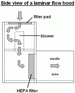 functional principle